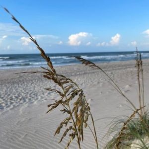 Meet your Posher, Romilda